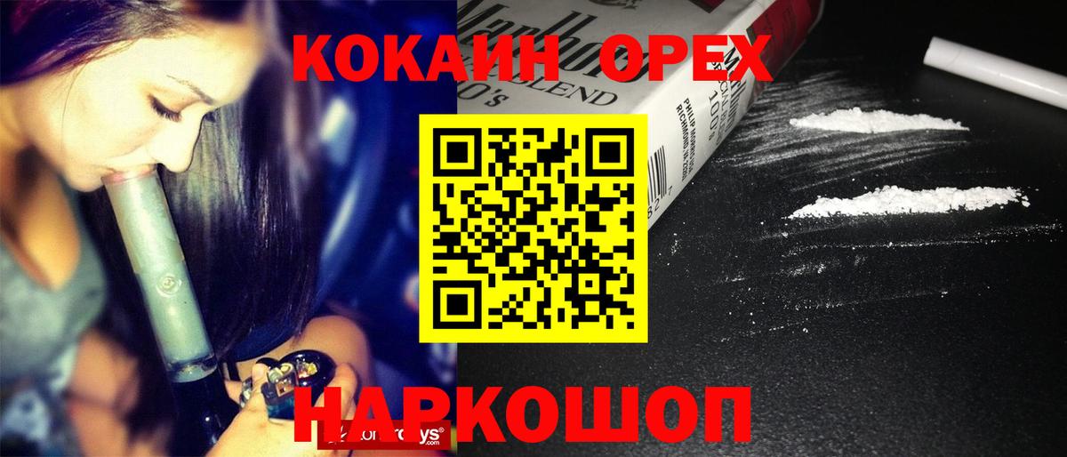 COCAIN Эквадор  COCAIN  COCAIN Эквадор  Елизово  Вход с VPN 