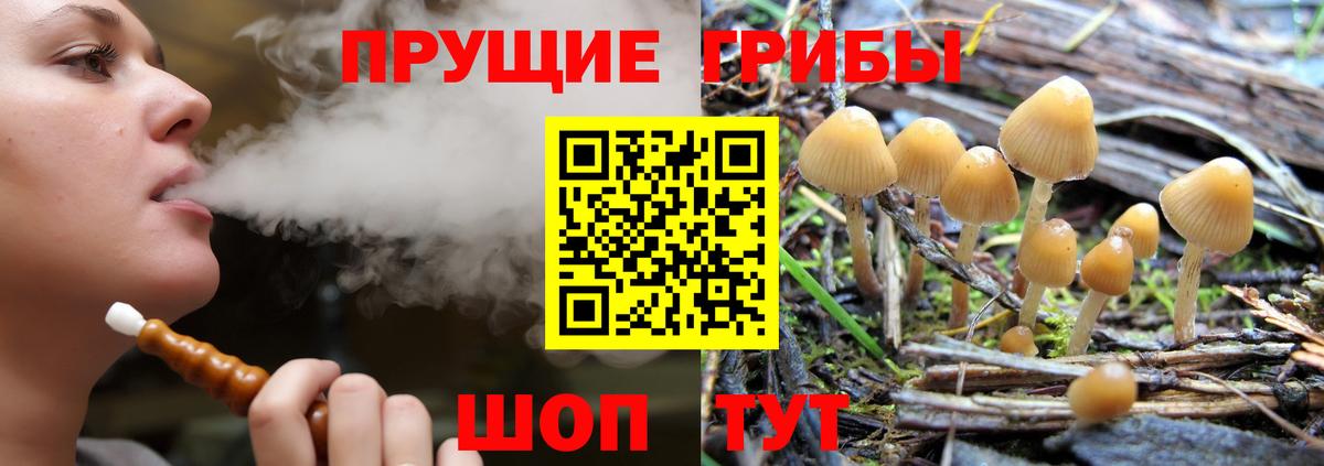 Елизово  Галлюциногенные грибы прущие грибы  Вход с VPN 